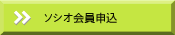 ���ݡ�����������ֲ���罸��